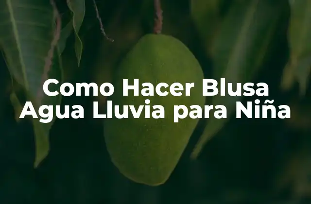 Como Hacer Blusa Agua Lluvia para Niña