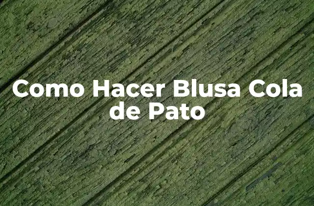 Como Hacer Blusa Cola de Pato