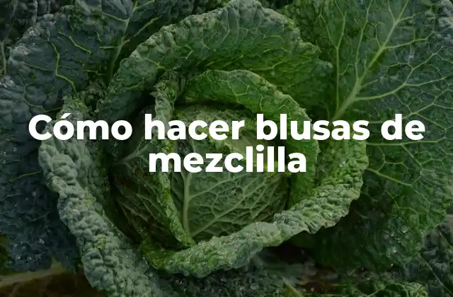 Cómo Hacer Blusas de Mezclilla