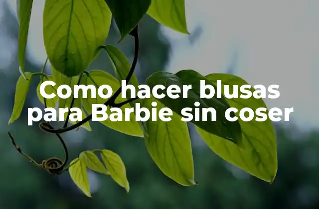 Como Hacer Blusas para Barbie sin Coser