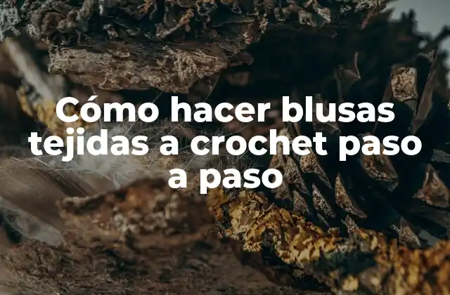 Cómo Hacer Blusas Tejidas a Crochet Paso a Paso