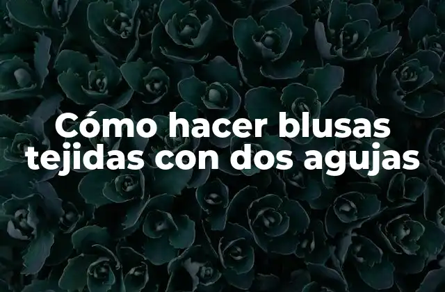 Cómo Hacer Blusas Tejidas con Dos Agujas