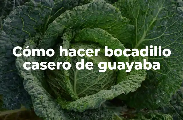 Cómo Hacer Bocadillo Casero de Guayaba