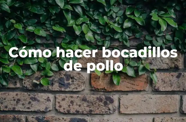 Cómo Hacer Bocadillos de Pollo 2 ¿Qué son los bocadillos de pollo?