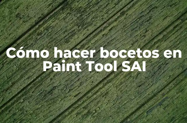 Cómo Hacer Bocetos en Paint Tool Sai