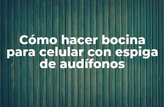 Cómo Hacer Bocina para Celular con Espiga de Audífonos