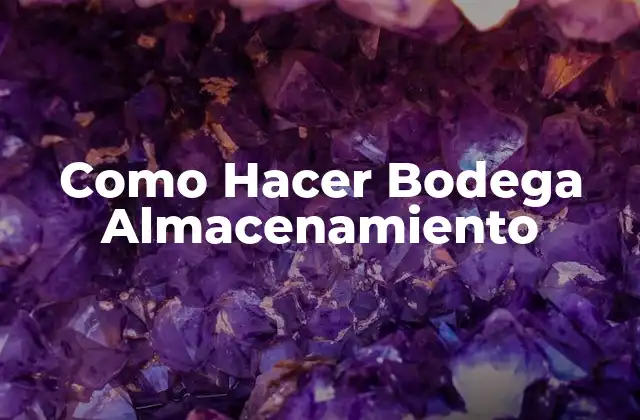 Como Hacer Bodega Almacenamiento 2 ¿Qué es un Sistema de Bodega Almacenamiento?