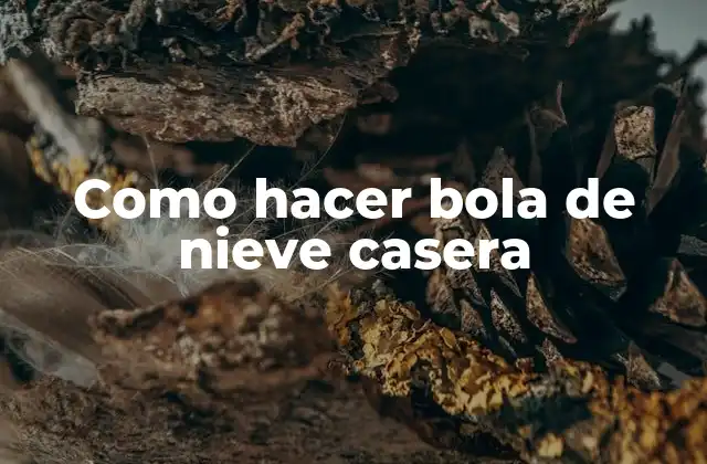 Como Hacer Bola de Nieve Casera 2 Como hacer bola de nieve casera