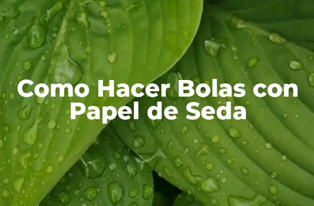 ¿Qué son las Bolas de Papel de Seda y para Qué Sirven?
