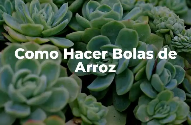Como Hacer Bolas de Arroz