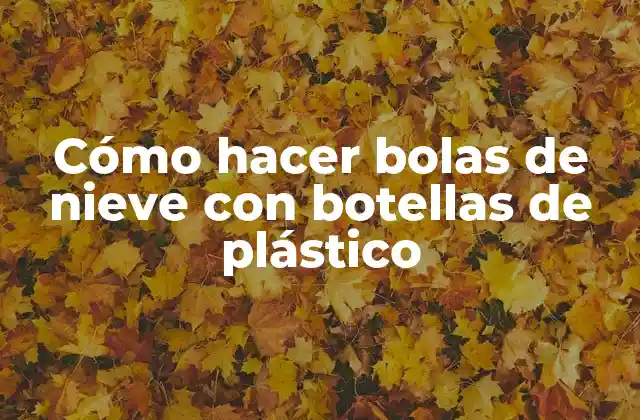Cómo Hacer Bolas de Nieve con Botellas de Plástico