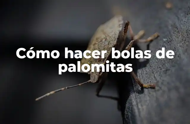 Cómo hacer bolas de palomitas
