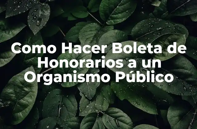 Como Hacer Boleta de Honorarios a un Organismo Público