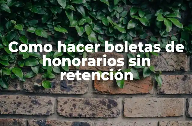 Como Hacer Boletas de Honorarios sin Retención