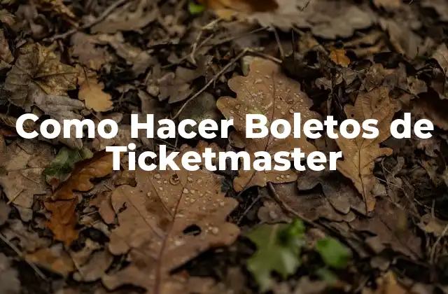 ¿Qué son los Boletos de Ticketmaster?