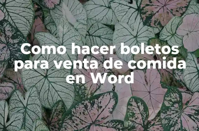 ¿Qué es un boleto para venta de comida en Word?