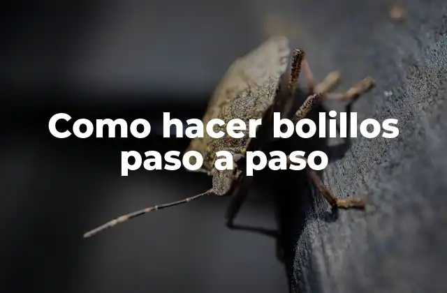 Como Hacer Bolillos Paso a Paso 2 Que son los bolillos y para que sirven