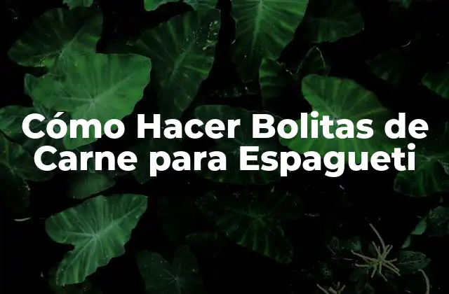 Cómo Hacer Bolitas de Carne para Espagueti