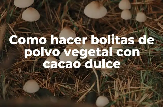 Como Hacer Bolitas de Polvo Vegetal con Cacao Dulce