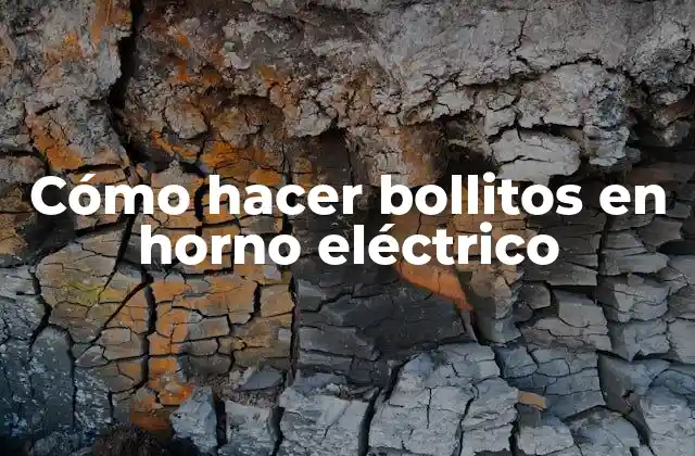 Cómo Hacer Bollitos en Horno Eléctrico