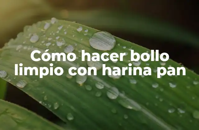 Cómo Hacer Bollo Limpio con Harina Pan