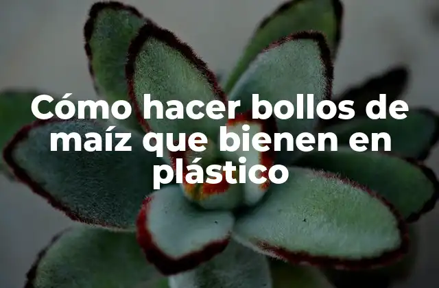 Cómo Hacer Bollos de Maíz que Bienen en Plástico