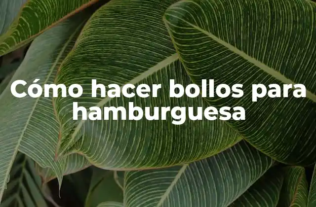 Cómo Hacer Bollos para Hamburguesa