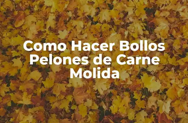 Como Hacer Bollos Pelones de Carne Molida