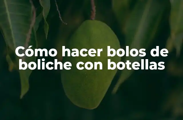 Cómo Hacer Bolos de Boliche con Botellas