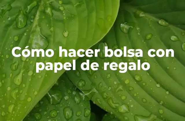 Cómo Hacer Bolsa con Papel de Regalo