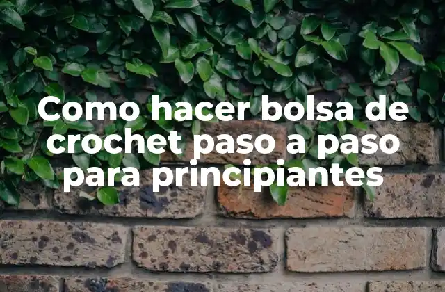 Como Hacer Bolsa de Crochet Paso a Paso para Principiantes