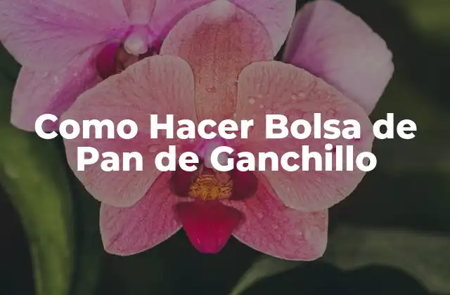Como Hacer Bolsa de Pan de Ganchillo