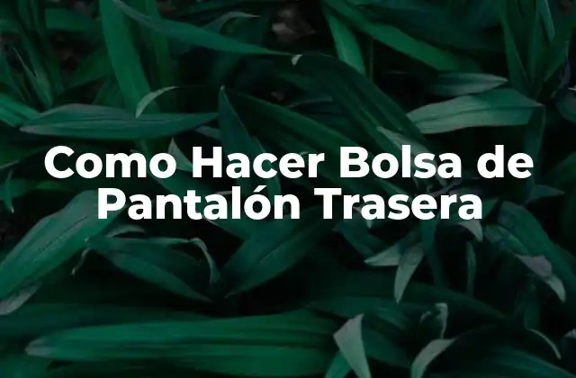 ¿Qué es una Bolsa de Pantalón Trasera?