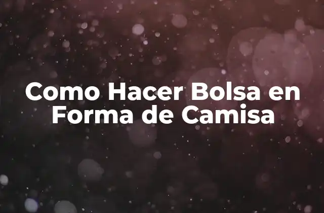 Como Hacer Bolsa en Forma de Camisa