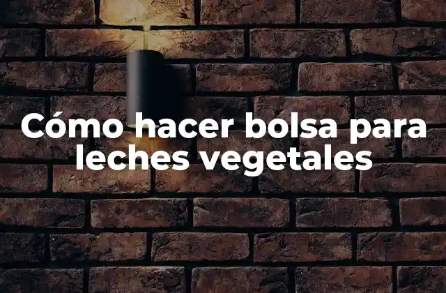 Cómo Hacer Bolsa para Leches Vegetales 2 Cómo hacer bolsa para leches vegetales