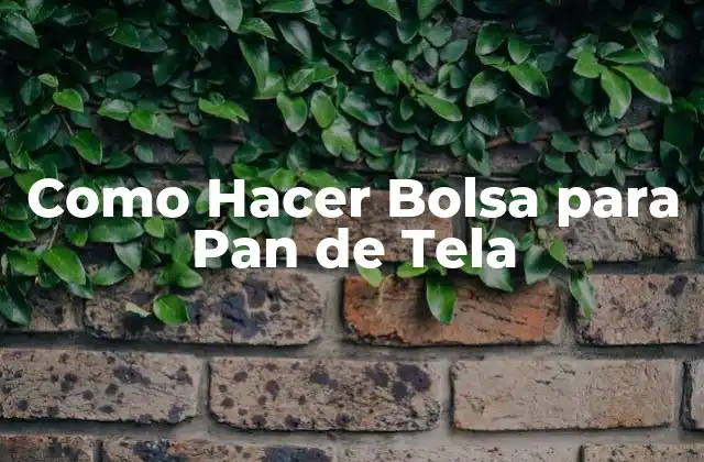 Como Hacer Bolsa para Pan de Tela