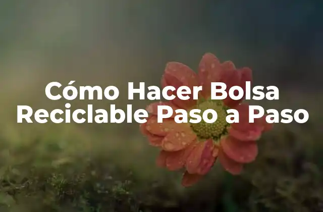 Cómo Hacer Bolsa Reciclable Paso a Paso