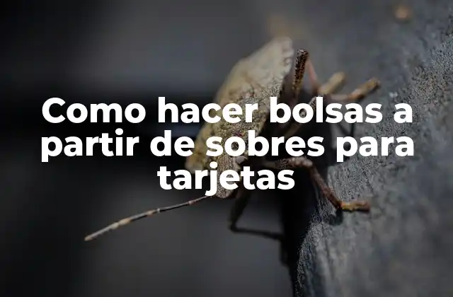 ¿Qué son las bolsas de sobre para tarjetas y para qué sirven?