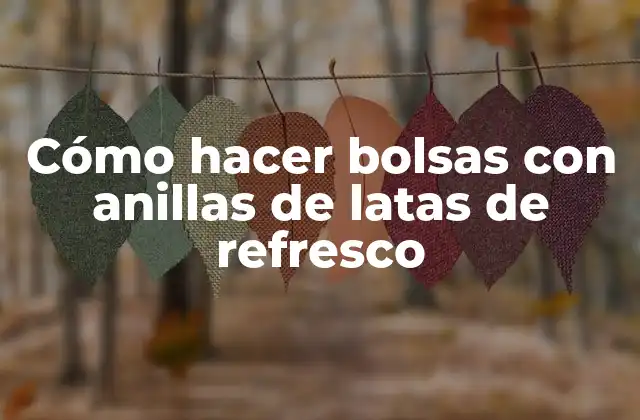 Cómo Hacer Bolsas con Anillas de Latas de Refresco