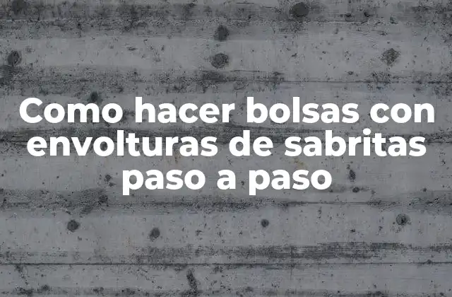 Como Hacer Bolsas con Envolturas de Sabritas Paso a Paso