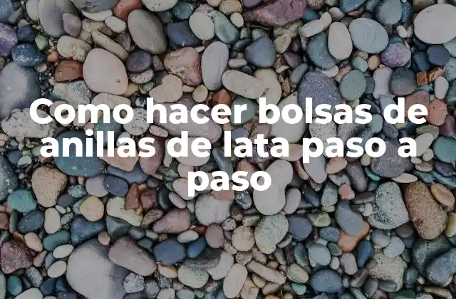 Como Hacer Bolsas de Anillas de Lata Paso a Paso