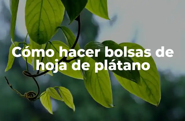 Cómo Hacer Bolsas de Hoja de Plátano