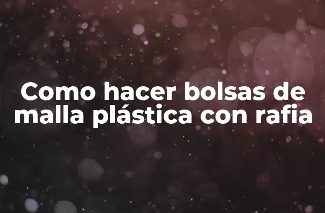 Como Hacer Bolsas de Malla Plástica con Rafia 2 Bolsas de malla plástica con rafia