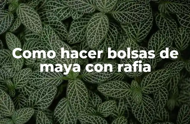 ¿Qué son las bolsas de maya con rafia?