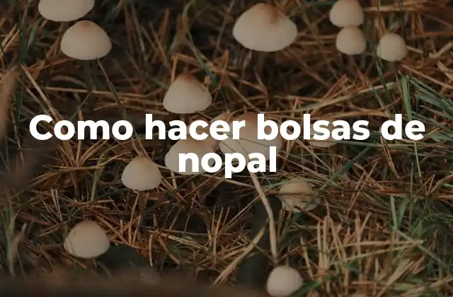 Como Hacer Bolsas de Nopal