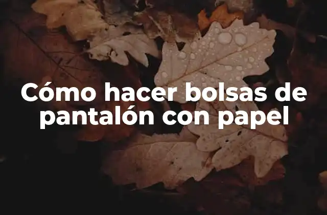 Cómo Hacer Bolsas de Pantalón con Papel