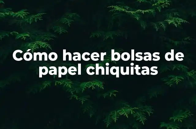 Cómo Hacer Bolsas de Papel Chiquitas