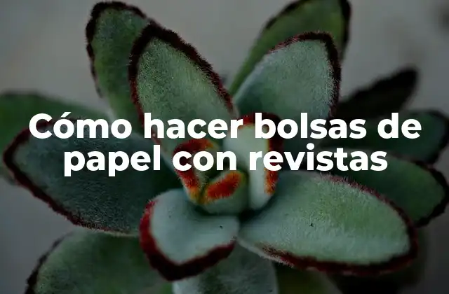 Cómo Hacer Bolsas de Papel con Revistas