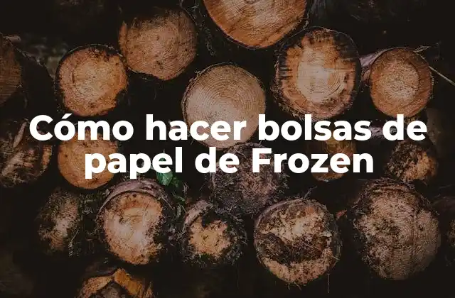 Cómo Hacer Bolsas de Papel de Frozen