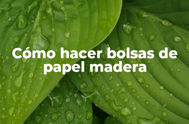 Cómo Hacer Bolsas de Papel Madera